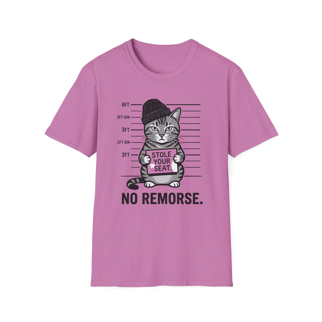 Stole Your Seat T-Shirt