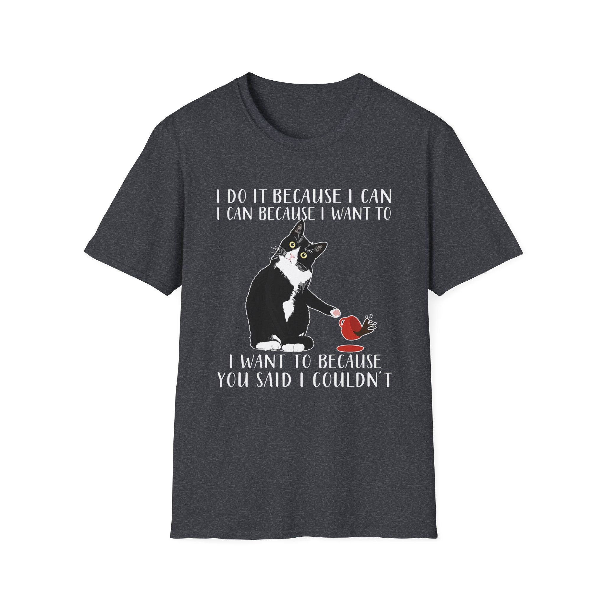 Chaos Cat Logic T-Shirt