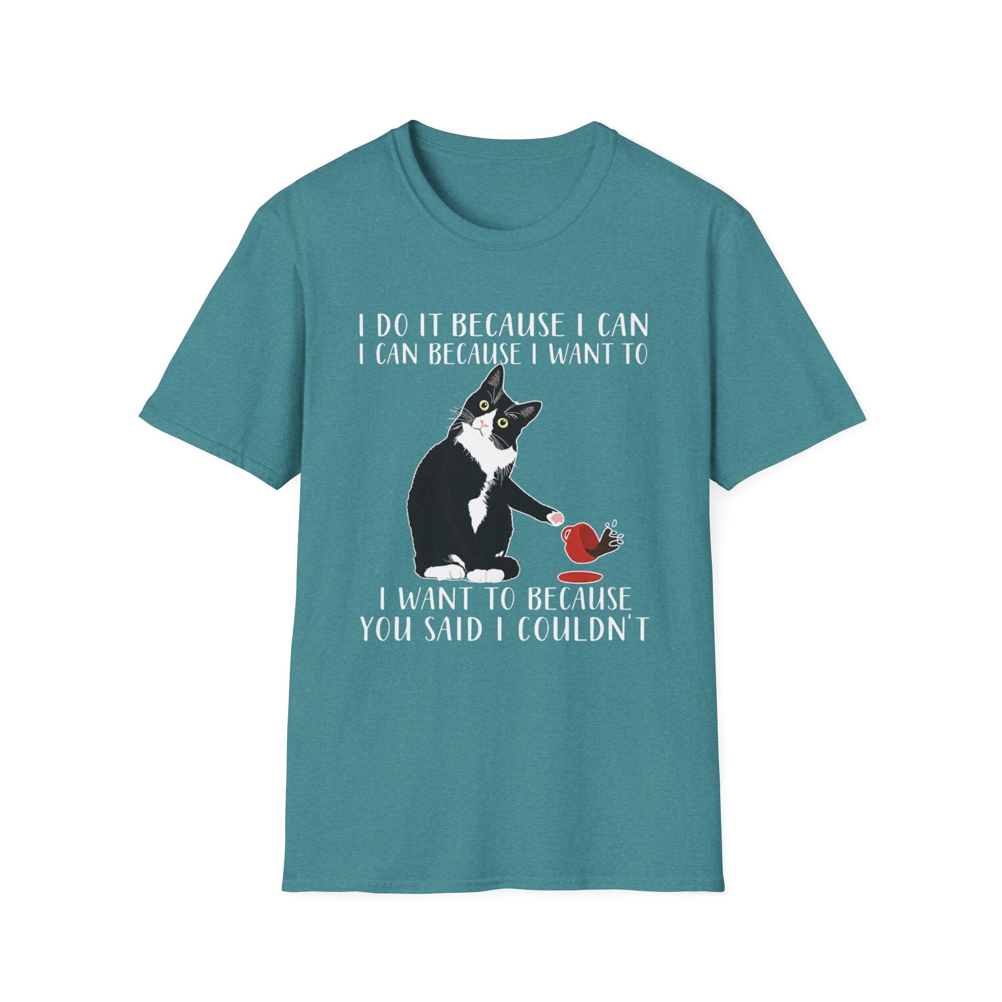 Chaos Cat Logic T-Shirt