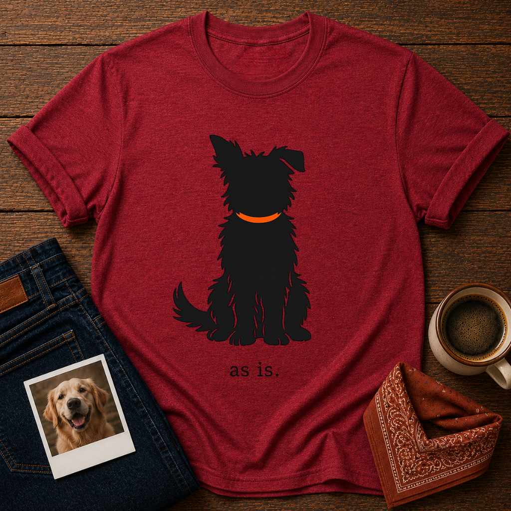 as is. T-Shirt