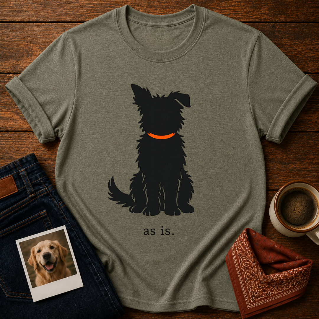 as is. T-Shirt