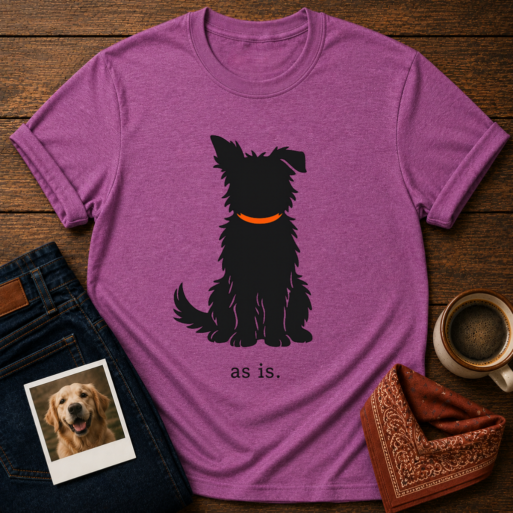 as is. T-Shirt