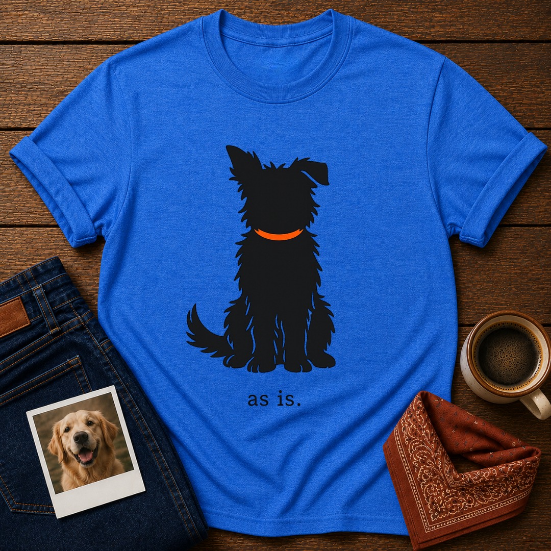 as is. T-Shirt