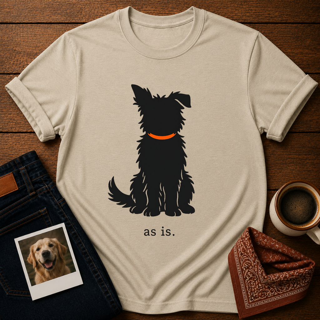 as is. T-Shirt